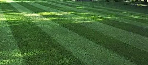 Professional landscaping services for homes across Enfield, CT - Celtic Lawn Care