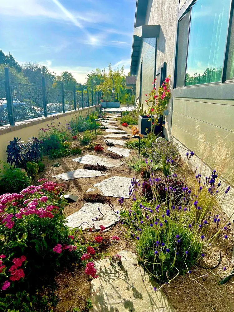 Top-rated yard maintenance in Los Angeles, CA by Celtic Nature Landscape Design