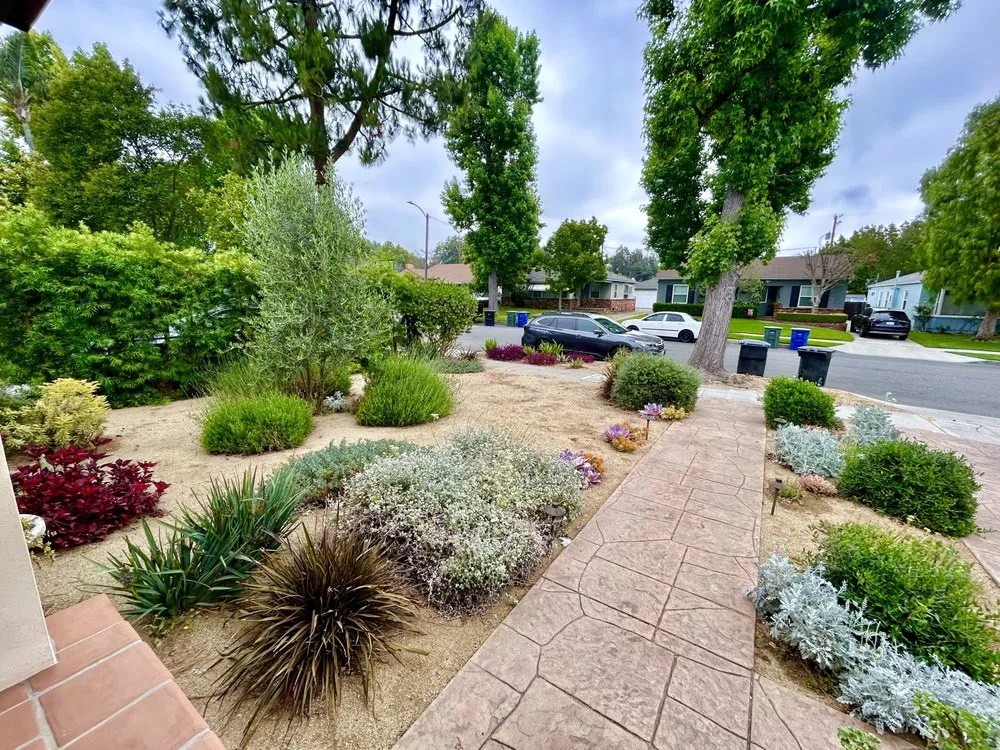 Expert lawn care service for residential properties in Los Angeles, CA by Celtic Nature Landscape Design