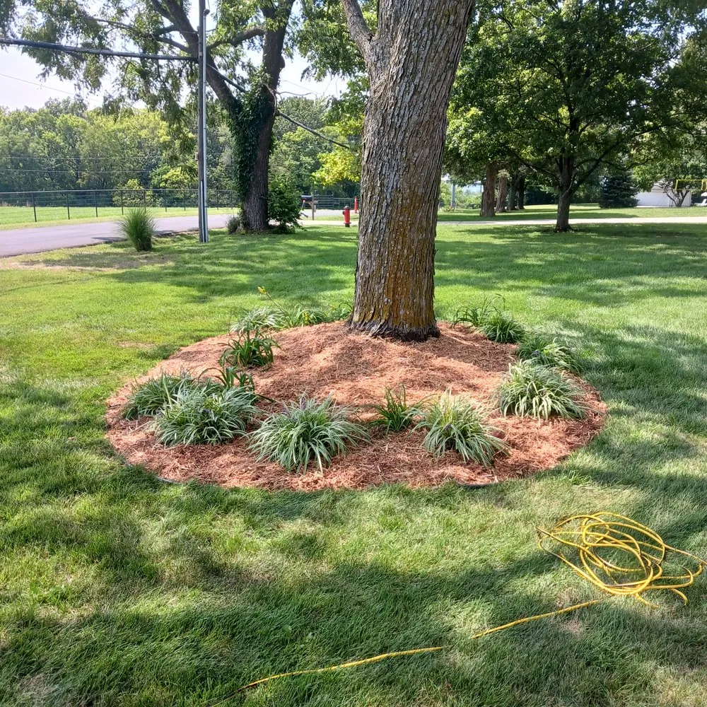 Top-rated landscape installation near you in Harrisonville, MO by Celtic Pride Handyman Service