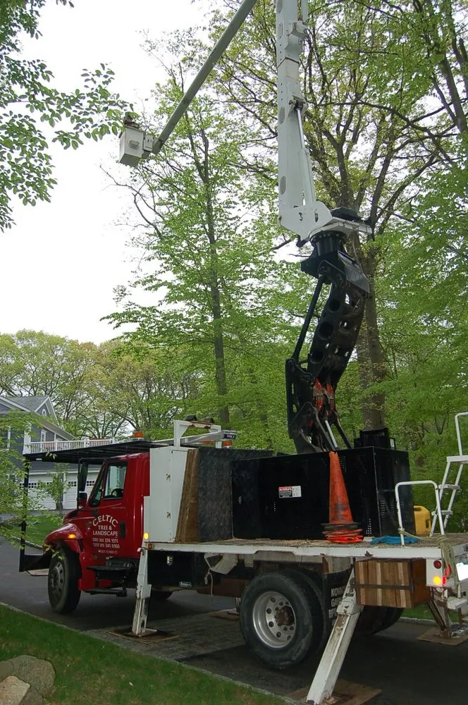 Top-rated lawn mowing service in Fairfield, CT by Celtic Tree & Landscape