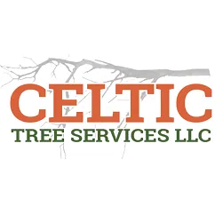 Trusted lawn mowing service in Fairfield, CT by Celtic Tree & Landscape