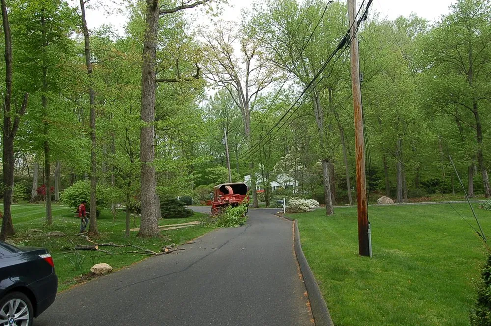 Custom garden landscaping for outdoor upgrades in Fairfield, CT by Celtic Tree & Landscape