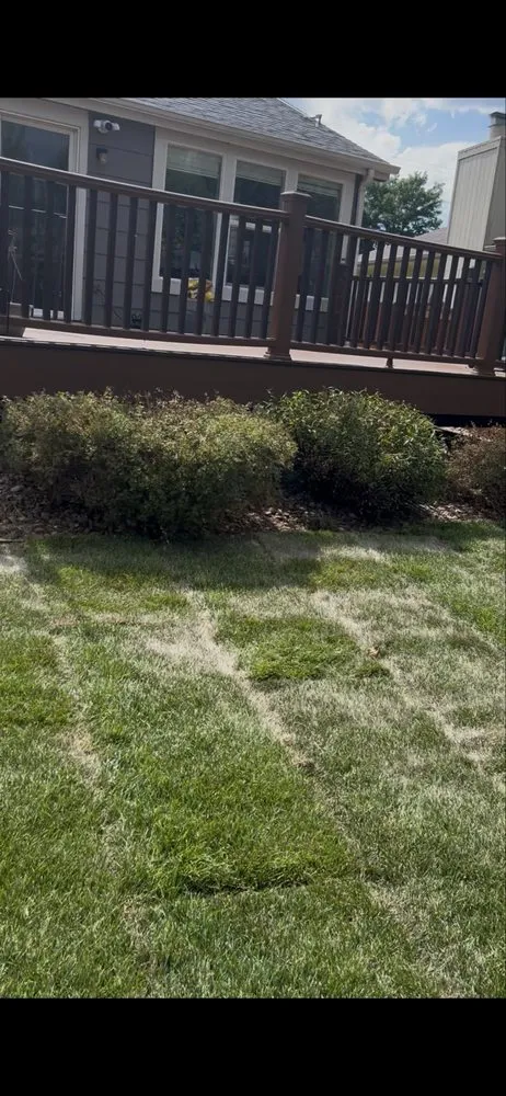 Affordable landscape design experts serving Brighton, CO - Cemon Landscaping