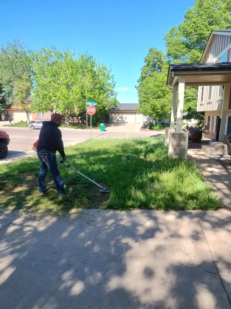 Professional garden landscaping in Brighton, CO - Cemon Landscaping