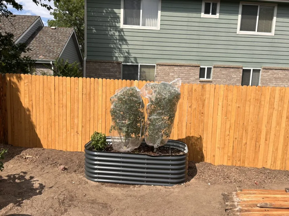 Reliable lawn care service in Brighton, CO - Cemon Landscaping