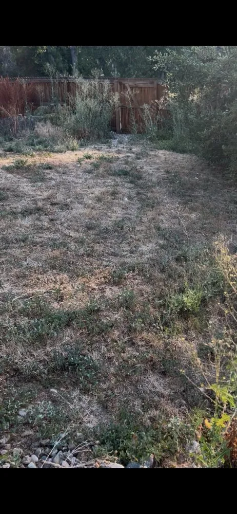 Reliable landscape design with custom design across Brighton, CO - Cemon Landscaping