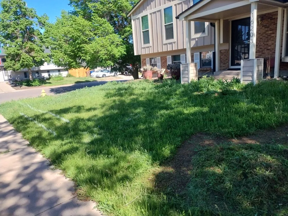 Local yard maintenance for residential properties across Brighton, CO - Cemon Landscaping