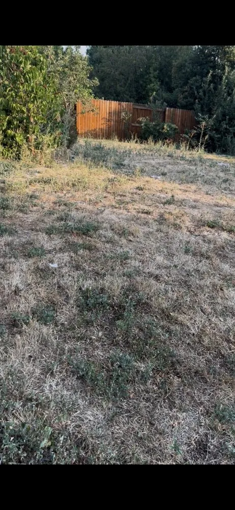 Reliable landscape design in Brighton, CO by Cemon Landscaping