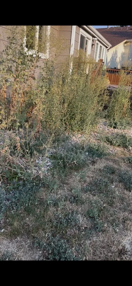 Expert outdoor landscaping for outdoor upgrades in Brighton, CO by Cemon Landscaping