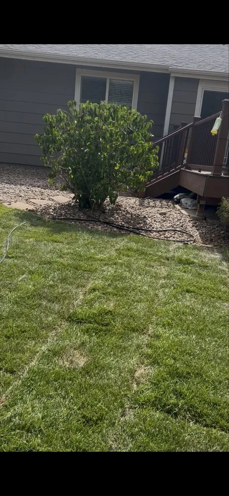 Trusted lawn care service near you across Brighton, CO - Cemon Landscaping