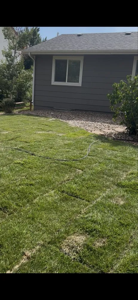 Local lawn care service near you across Brighton, CO - Cemon Landscaping