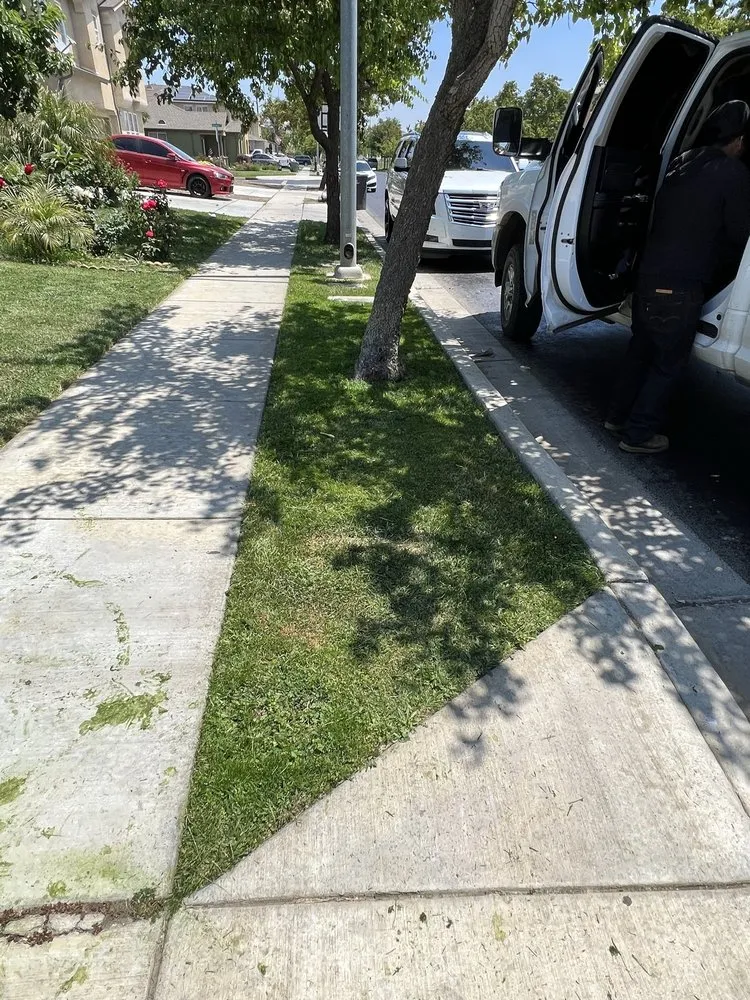 Custom yard cleanup service near you across Soledad, CA - Cencal Exterior Cleaning & Pressure Washing