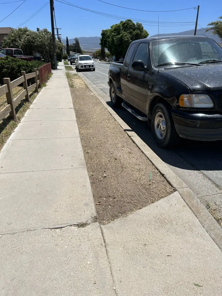 Local landscape installation for outdoor upgrades in Soledad, CA by Cencal Exterior Cleaning & Pressure Washing