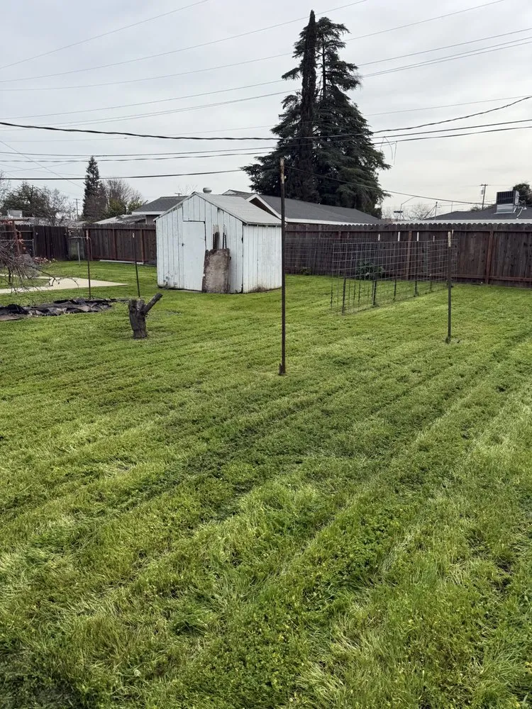 Local outdoor landscaping with custom design across Fresno, CA - Cencal Landscape Solutions