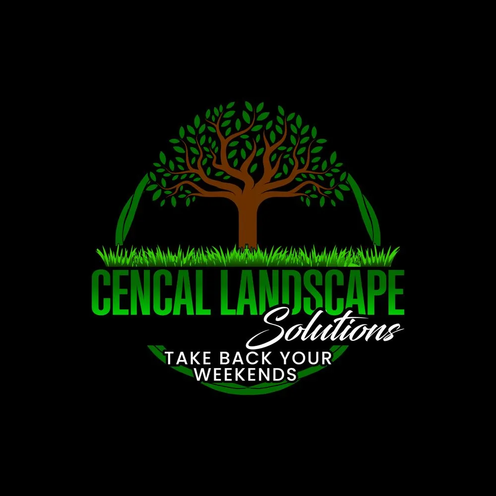 Custom landscape installation for outdoor upgrades across Fresno, CA - Cencal Landscape Solutions