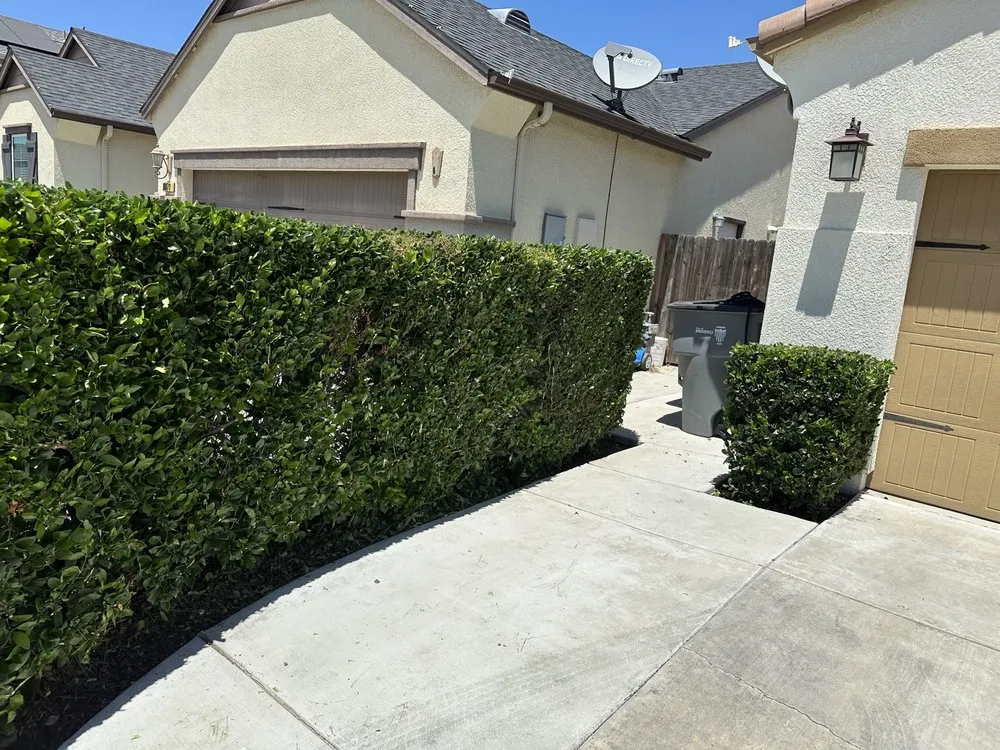 Top-rated landscape design experts serving Fresno, CA - Cencal Maintenance & Landscaping