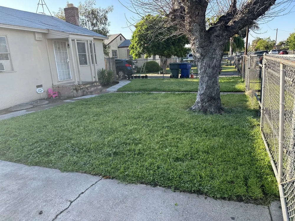 Affordable yard cleanup service experts serving Fresno, CA - Cencal Maintenance & Landscaping