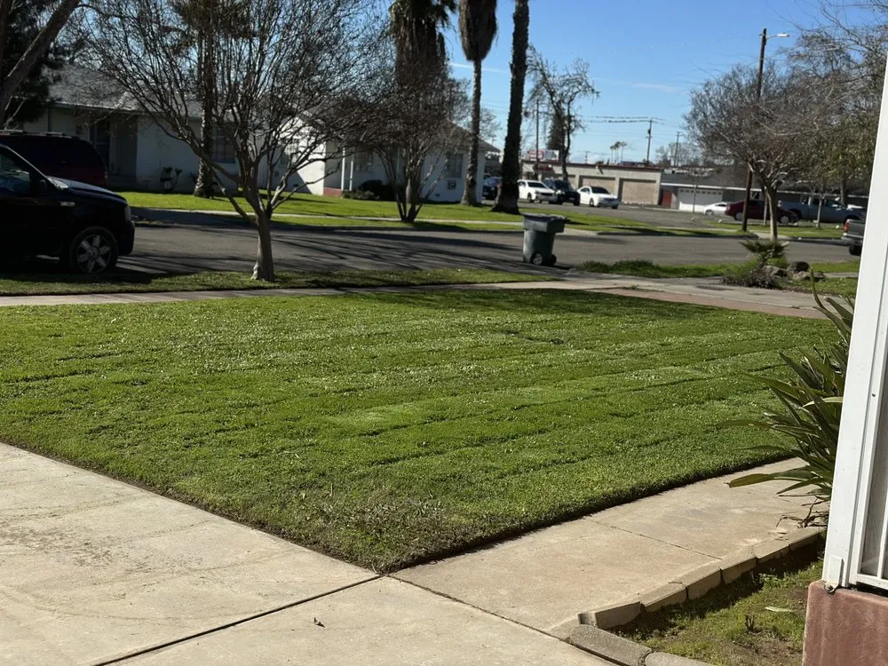 Professional yard cleanup service experts serving Fresno, CA - Cencal Maintenance & Landscaping