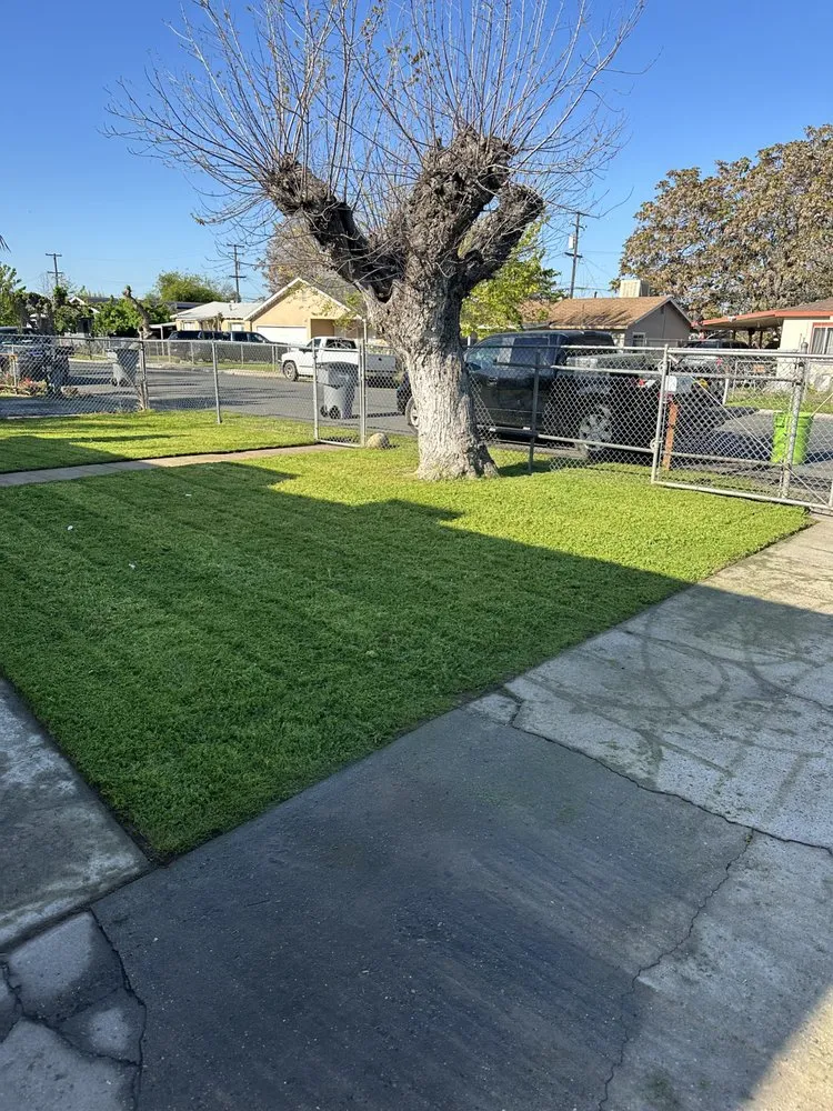 Expert landscape installation in Fresno, CA - Cencal Maintenance & Landscaping