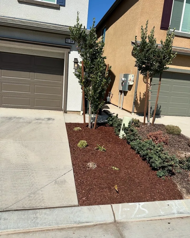 Local yard cleanup service in Fresno, CA by Cencal Maintenance & Landscaping