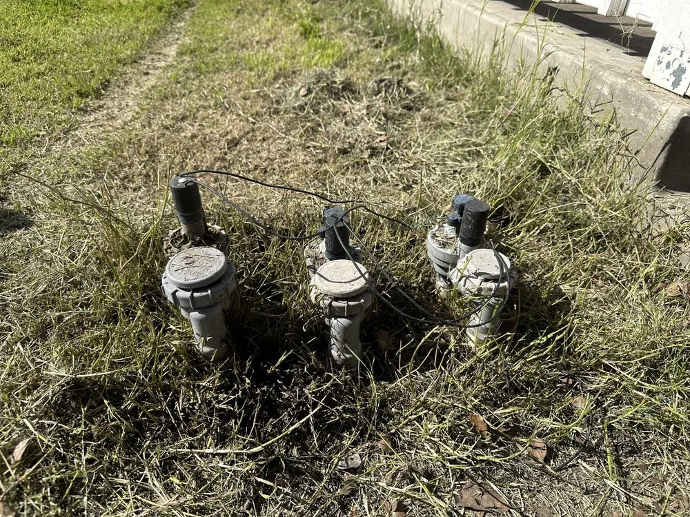 Local landscape installation experts serving Fresno, CA - Cencal Maintenance & Landscaping