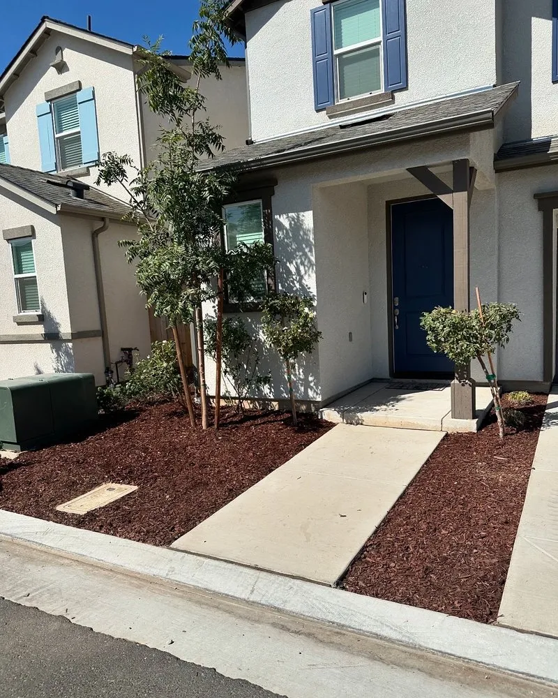 Reliable lawn care service in Fresno, CA by Cencal Maintenance & Landscaping