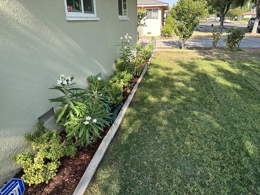 Local garden landscaping in Fresno, CA - Cencal Maintenance & Landscaping