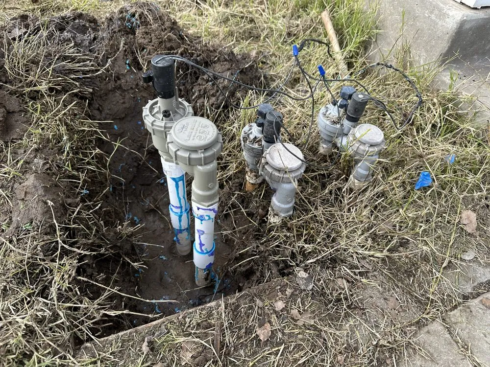 Trusted yard cleanup service with custom design in Fresno, CA by Cencal Maintenance & Landscaping