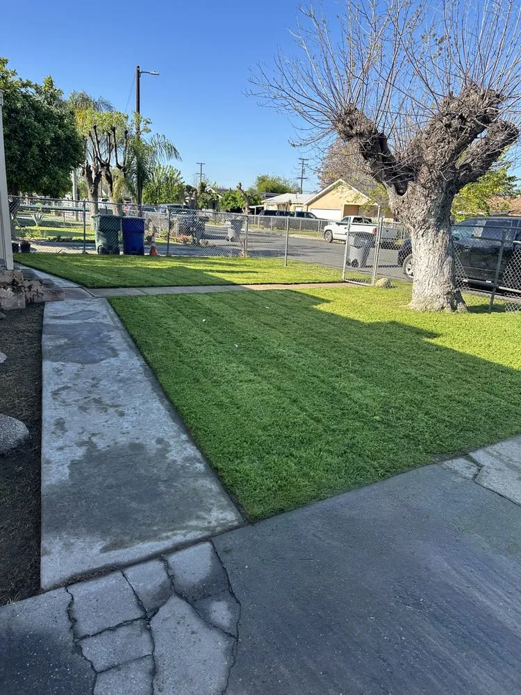 Custom yard maintenance in Fresno, CA by Cencal Maintenance & Landscaping