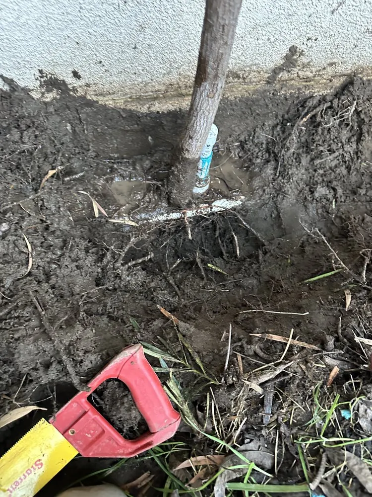 Affordable yard cleanup service for residential properties across Fresno, CA - Cencal Maintenance & Landscaping