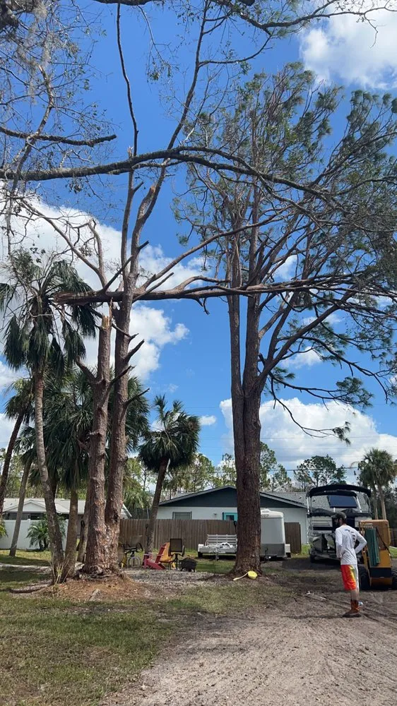 Professional lawn mowing service in Orange City, FL - CenfloShine