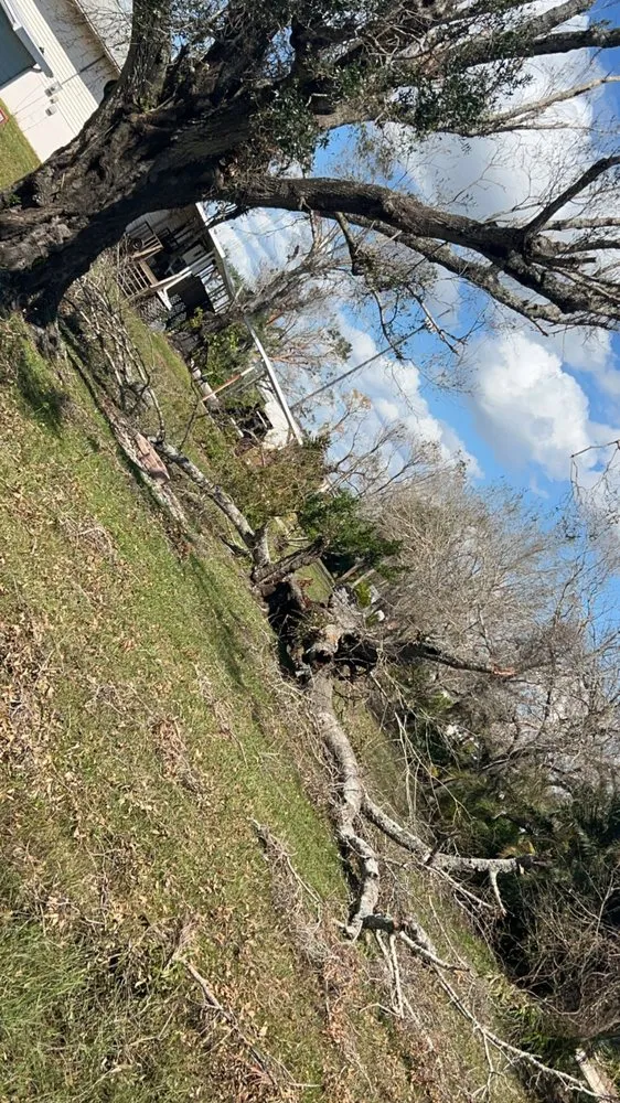 Expert landscape design with custom design across Orange City, FL - CenfloShine