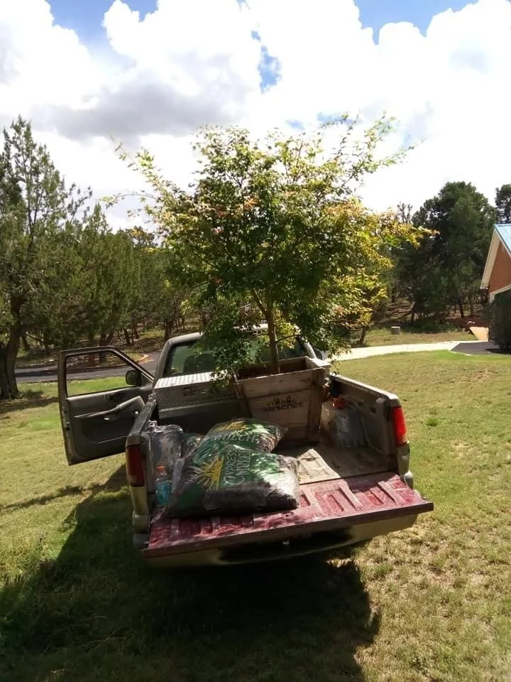 Professional landscape installation in Albuquerque, NM by Ceniceros Construction