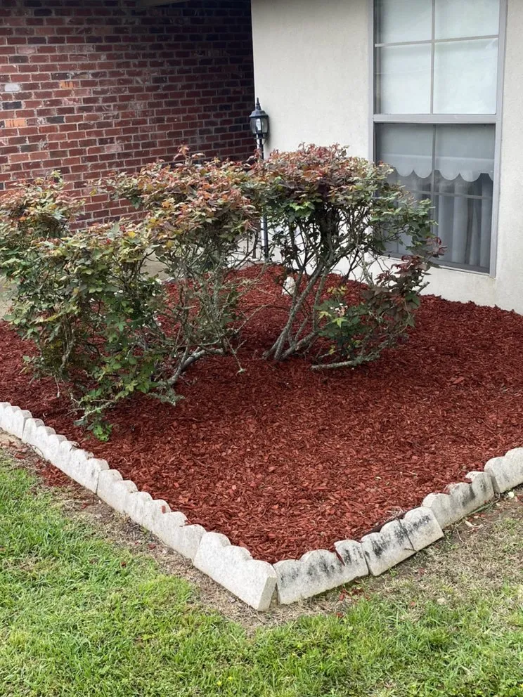 Custom lawn care service experts serving Pineville, LA - Cenla Turf Pros