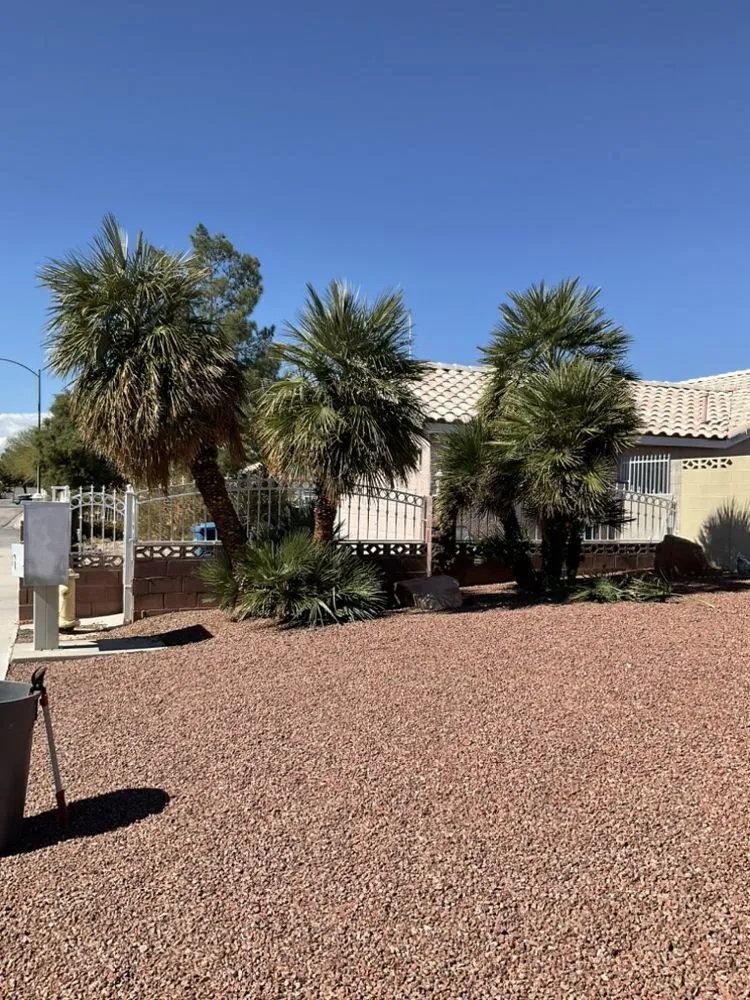 Top-rated lawn care service for year-round maintenance across Paradise, NV - Centennial Landscaping Services