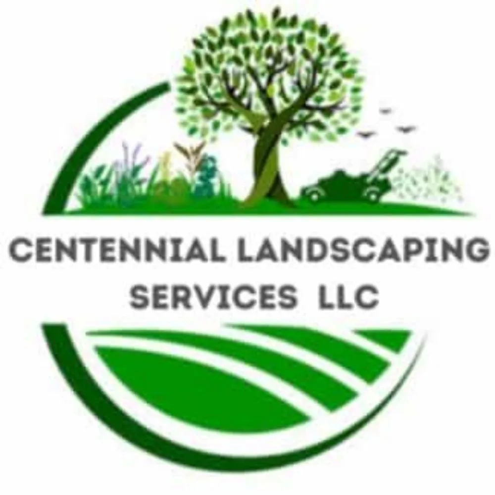 Affordable residential landscaping for outdoor upgrades in Paradise, NV by Centennial Landscaping Services