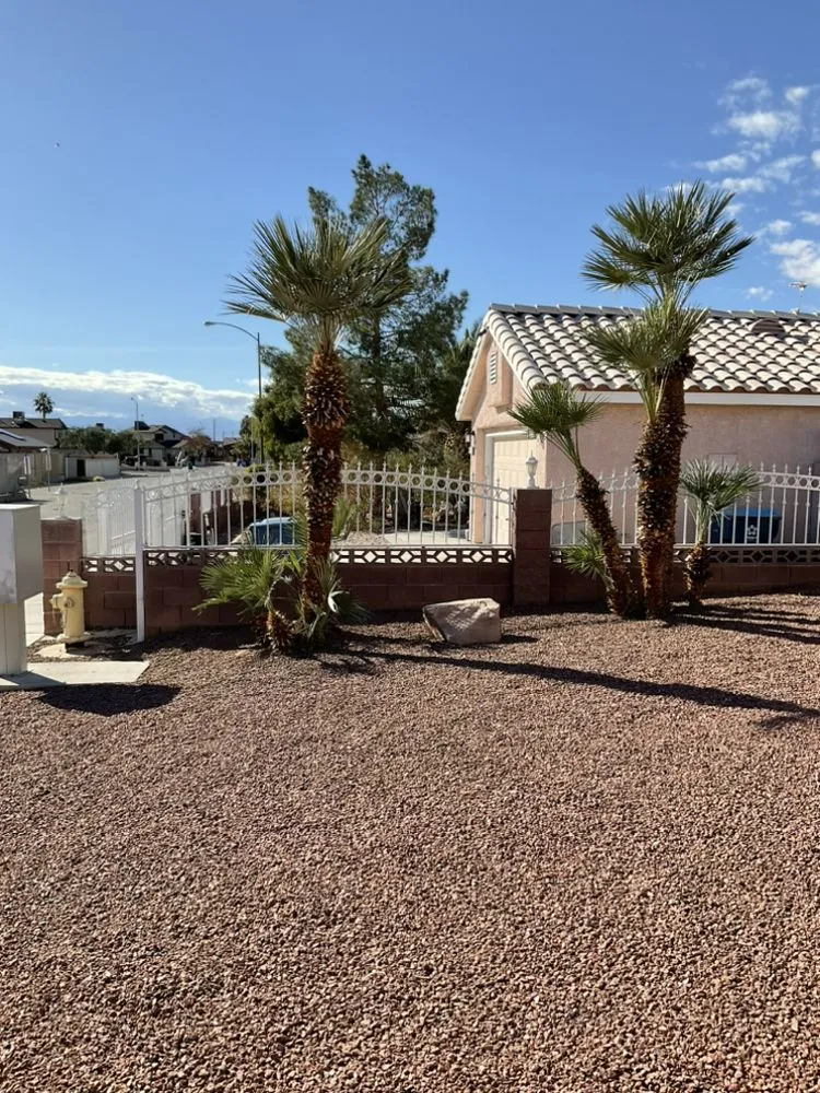 Local yard cleanup service for year-round maintenance across Paradise, NV - Centennial Landscaping Services