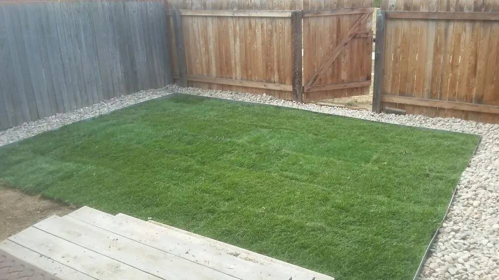 Professional landscape installation in Greeley, CO by Centennial Outdoor Creations
