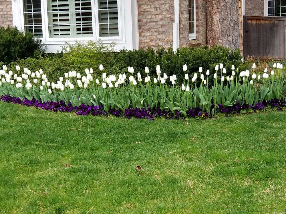 Professional lawn mowing service in Littleton, CO by Centennial Property Maintenence