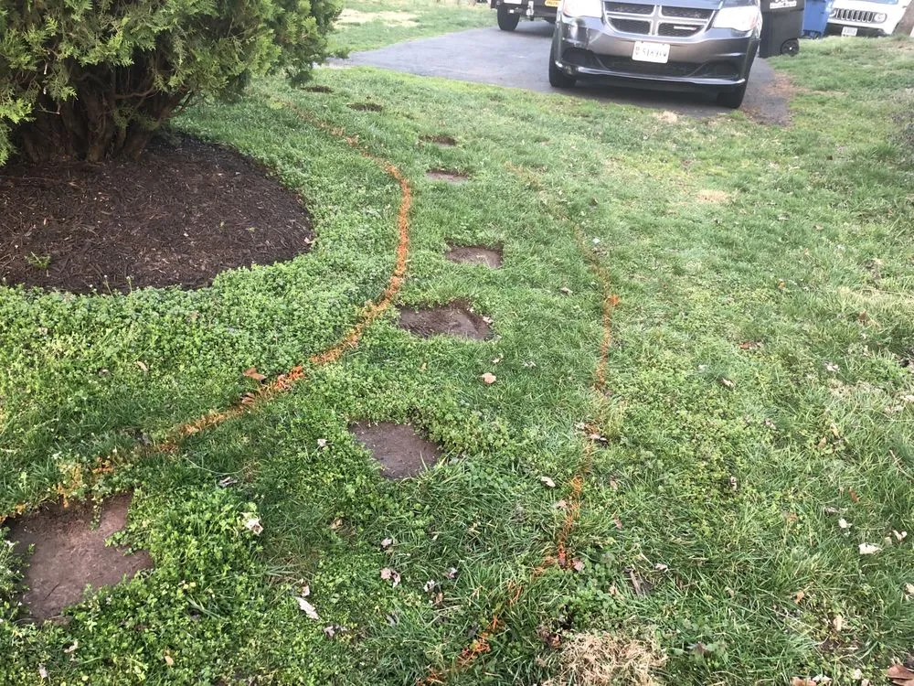 Affordable yard maintenance in Sterling, VA - Centeno Landscaping