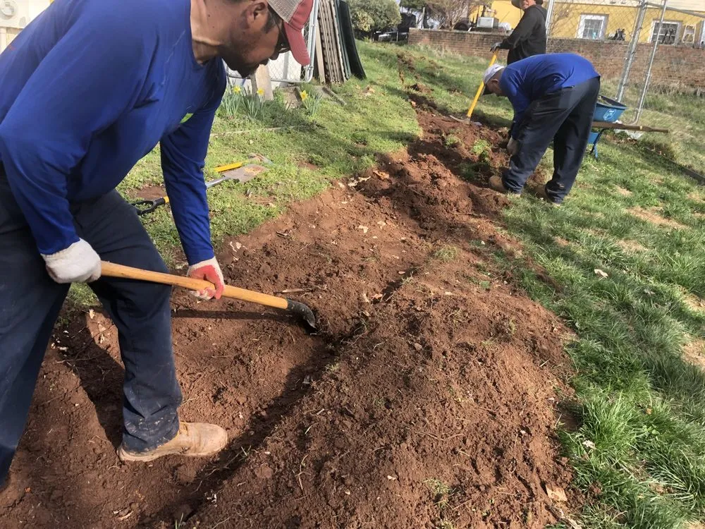 Expert lawn mowing service in Sterling, VA - Centeno Landscaping