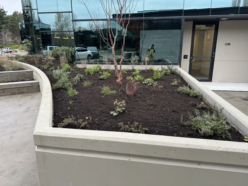 Professional lawn care service in Tacoma, WA - Centeno Lanscaping