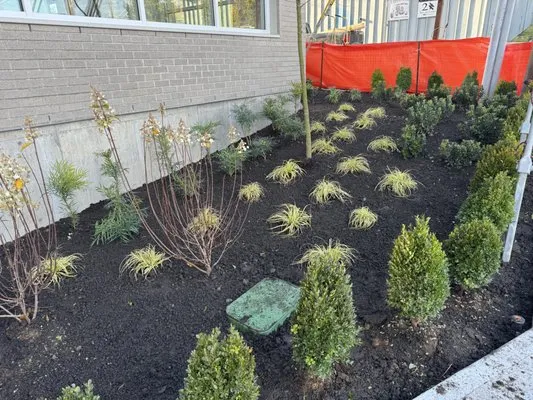 Centeno Lanscaping Logo