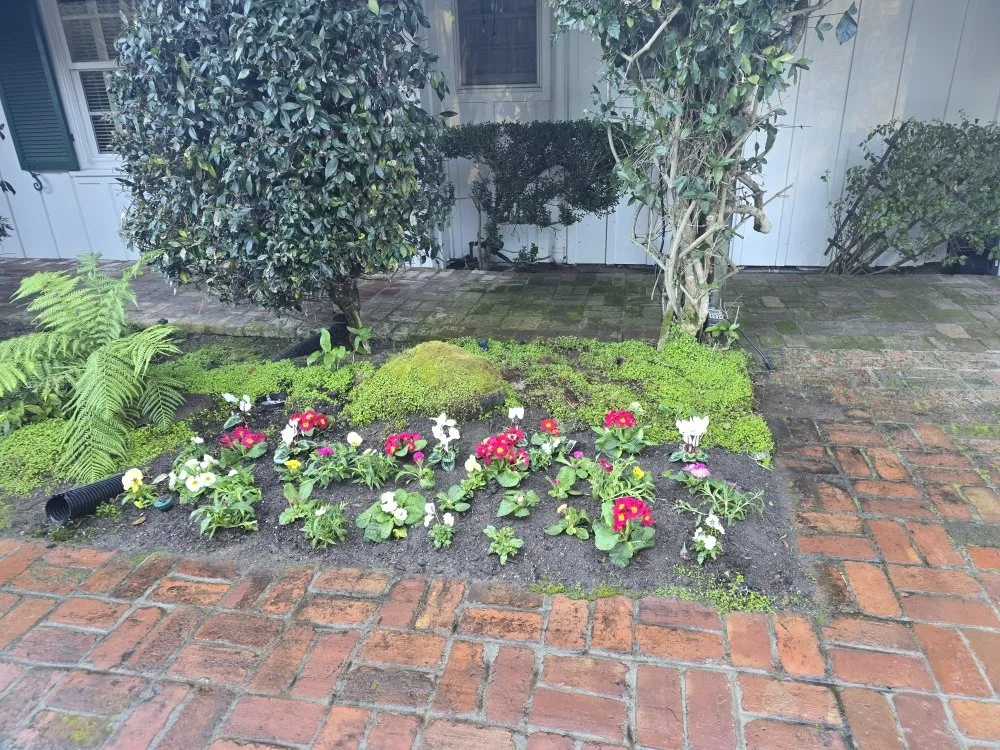 Expert yard maintenance experts serving Santa Cruz, CA - Centeno's Landscaping