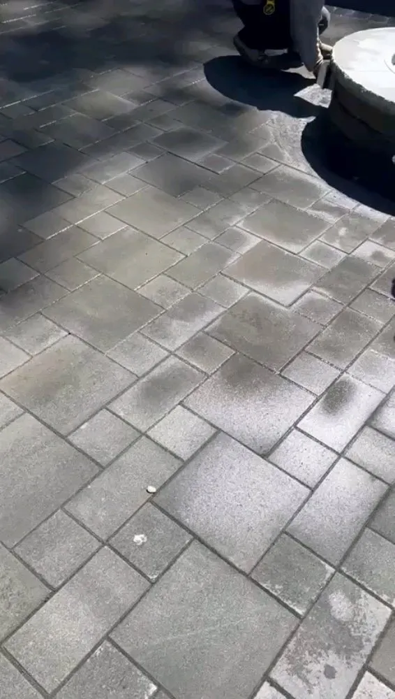 Custom yard cleanup service in Santa Cruz, CA by Centeno's Landscaping