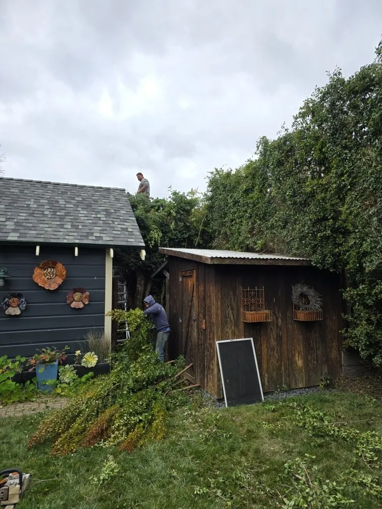 Professional residential landscaping in Santa Cruz, CA - Centeno's Landscaping