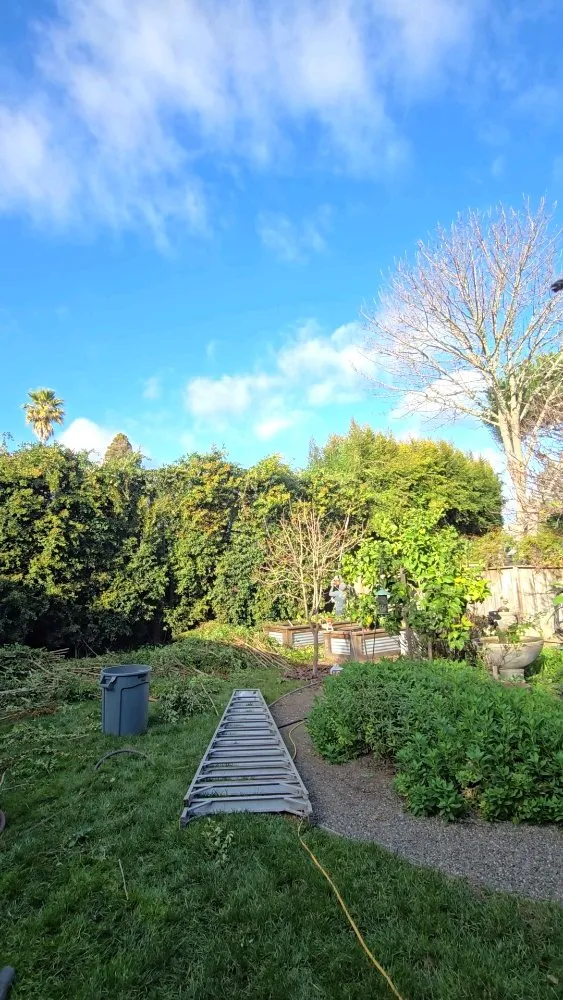 Trusted landscape design with custom design in Santa Cruz, CA by Centeno's Landscaping