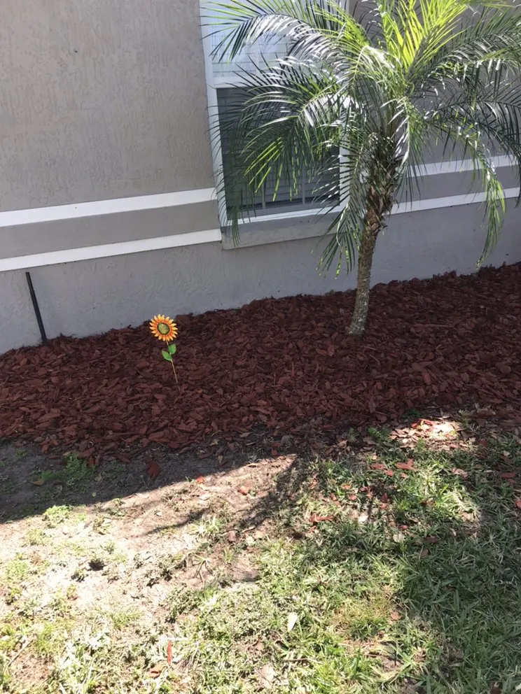Custom landscape installation in Lakeland, FL by Center State Lawn Care