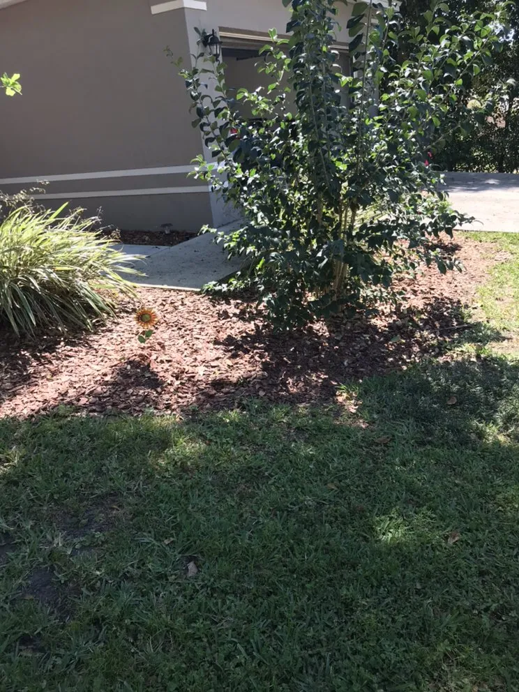 Top-rated landscape installation in Lakeland, FL - Center State Lawn Care